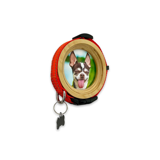 Small Dog Collar Picture Frame - "The Chihuahua" - Love, Baxter