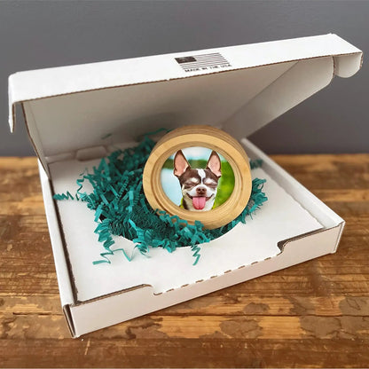 Small Dog Collar Picture Frame - "The Chihuahua" - Love, Baxter