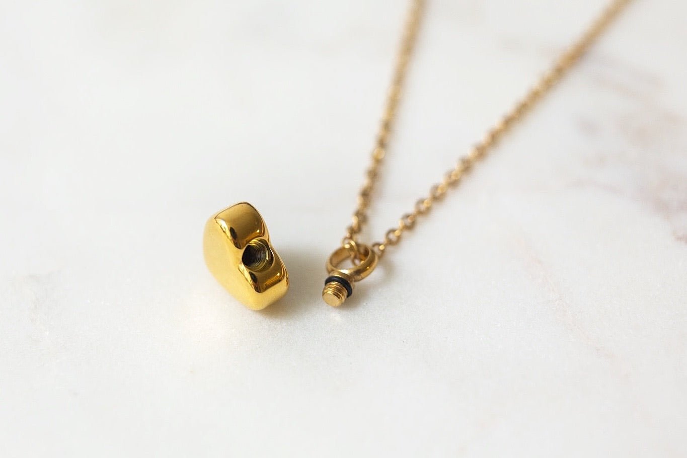 The Amore Pet Cremation Necklace - Love, Baxter