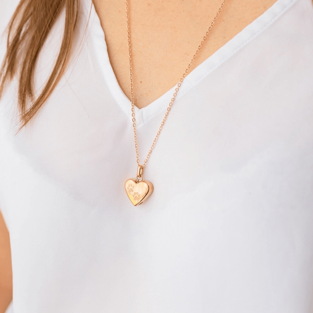 The Amore with Paws Pet Cremation Necklace - Love, Baxter