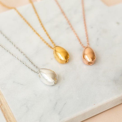 The Hepburn Teardrop Pet Cremation Necklace - Love, Baxter