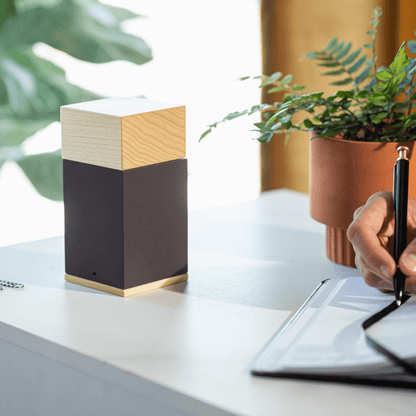 The Lenox Pet Urn in Poplar - Love, Baxter