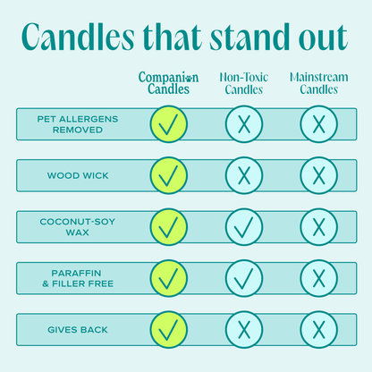 You & Me by the Sea Pet - Safe Candle - Love, Baxter